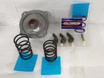 Polaris Secondary Helix 423898 58-64F BA75-.600 R.950 246846A + Springs/weights. Fixed Price $100.00.