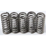 Ebc Brakes Clutch Springs CSK214. Fixed Price $42.32.