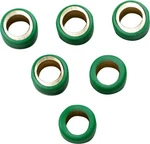 Athena Scooter Roller Kit - 16MM D X 13MM 5.5 Grams S41000030P018. Fixed Price $26.47.