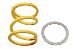 Slp 40-459 Yellow/red 40/260 Rzr Drive Clutch Spring Kit Nos. Fixed Price $49.99.