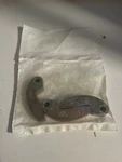 Oem Arctic Cat Clutch Weight Set 70.5 Grams 0746-643. Fixed Price $49.99.