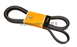 New! Porsche Panamera Continental Serpentine Belt 7DK2860 7PP903137B. Fixed Price $115.00.