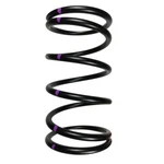 Speedwerx Driven Clutch Spring CCH5-L-160-250. Fixed Price $52.20.