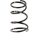 Speedwerx Black/purple Team Secondary Spring CCH5-J-160-240. Fixed Price $54.95.