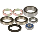 Balls Chain Case Bearing & Seal Kit 14-1014. Fixed Price $108.33.