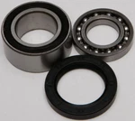 Balls 14-1011 Chain Case Bearing & Seal Kit. Fixed Price $45.58.