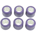 Athena Roller Kit 16X13 7 Gr S41000030P093. Fixed Price $15.49.
