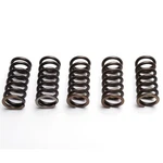 Ebc Clutch Spring Set (5 Pcs) Kawasaki Klx 450 2008 - 2015. Fixed Price $24.92.
