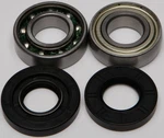 Balls Chain Case Bearing And Seal Kits 14-1045. Fixed Price $40.37.
