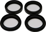 Balls Fork Oil And Dust Seal Wiper Kit Bmw F800R 09-13. Fixed Price $38.57.