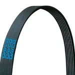 For Kenworth T660 2010 Dayco 5080685 Gold Label Poly Rib Heavy Duty Belt. Fixed Price $50.88.