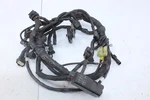 2014 Arctic Cat Zr 6000 Tigre Main Wiring Harness Wire Loom. Fixed Price $250.00.
