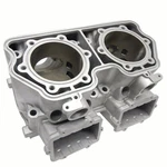 Newly Replated Ski-doo Sdi Cylinder 420613746 421000636 2005-2007. Fixed Price $1112.39.