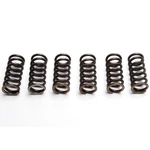 Ebc Clutch Spring Set (6 Pcs) - CSK207. Fixed Price $24.75.