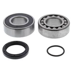 Balls 14-1071 Shaft Bearing And Seal Kit. Fixed Price $39.76.