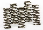 Ebc CSK254 Clutch Springs. Fixed Price $37.83.